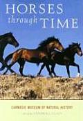 Horses Through Time