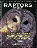 Raptors The Eagles Hawks Falcons & Owls of North America