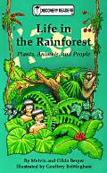 Life In The Rainforest