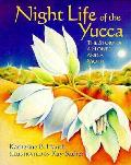 Night Life Of The Yucca