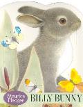 Billy Bunny Touch & Feel Board Book