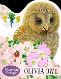 Olivia Owl Touch & Feel Board Book
