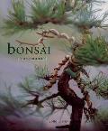 Bonsai A Care Manual