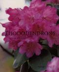 Rhododendrons A Care Manual