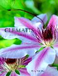 Clematis A Care Manual