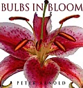 Bulbs In Bloom Bulbs Corms Tubers