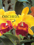 Orchids A Care Manual