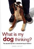 What Is My Dog Thinking What Is My Dog Thinking The Essential Guide to Understanding Pet Behavior the Essential Guide to Understanding Pet Behavior