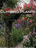 Climbing Plants Choosing Climbers To Enh