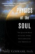 Physics of the Soul The Quantum Book of Living Dying Reincarnation & Immortality