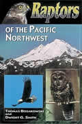 Raptors Of The Pacific Northwest