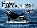 Orca Encounters Images of Southern Resident Killer Whales