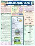 Microbiology Laminated Reference