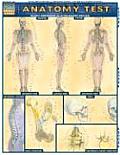 Anatomy Test Laminate Reference Chart The Most Comprehensive All In One Anatomy Chart Test