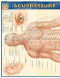 Acupressure Laminated Reference