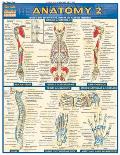 Anatomy 2 Laminate Reference Chart Includes Deep & Posterior Anatomy & Any New Structures