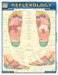 Reflexology Quick Study