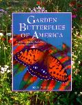 Garden Butterflies Of North America Gall