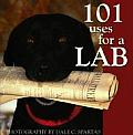 101 Uses For A Lab