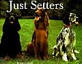 Just Setters