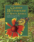 Garden Butterflies of North America A Gallery of Garden Butterflies & How to Attract Them