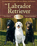 Breed Basics The Labrador Retriever