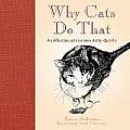 Why Cats Do That A Collection of Curious Kitty Quirks