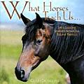What Horses Teach Us Lifes Lessons Learned from Our Equine Friends