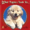 What Puppies Teach Us: Life's Lessons Learned from Our Little Friends