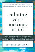Calming Your Anxious Mind How Mindfulnes