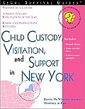 Child Custody, Visitation and Support in New York (Child Custody, Visitation & Support in New York)