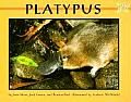 Platypus Mondo Animals