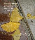Silver Linings: Meditations on Finding Joy and Beauty in Unexpected Places