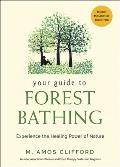 Your Guide to Forest Bathing Experience the Healing Power of Nature