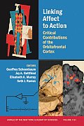 Linking Affect to Action Critical Contributions of the Orbitofrontal Cortex