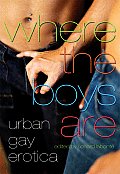 Where The Boys Are Urban Gay Erotica