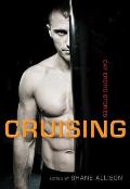 Cruising: Gay Erotic Stories