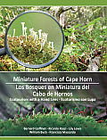 Miniature Forests of Cape Horn: Ecotourism with a Hand Lens
