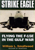 Strike Eagle Flying The F 15e
