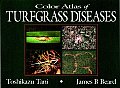 Color Atlas of Turfgrass Diseases