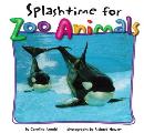 Splashtime For Zoo Animals