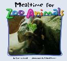 Mealtime For Zoo Animals