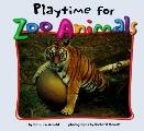 Playtime For Zoo Animals