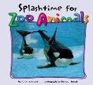 Splashtime For Zoo Animals