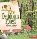 Walk In The Deciduous Forest