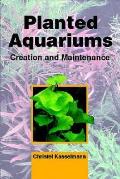 Planted Aquariums Creation & Maintenance