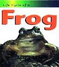 Life Cycle Of A Frog