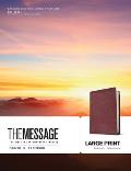 Message Bible Large Print Numbered