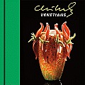 Chihuly Venetians [With DVD]