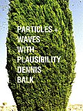 Particles Waves With Plausibility